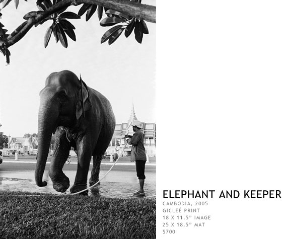 Elephant and Keeper